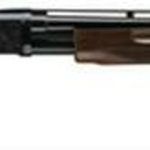 Browning BPS Medallion 12 Ga 28" Vent Rib Barrel with Gloss Blue Finish 3" Chamber Grade II/III Black Walnut Stock