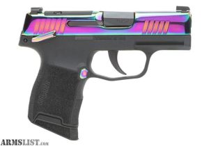 P365-RAINBOW 380 For Sale - Handguns | Kentucky Gun Shop