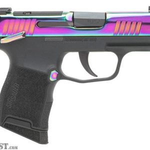 P365-RAINBOW 380 For Sale - Handguns - Kentucky Gun Shop