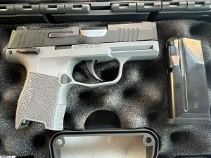 P365-380 For Sale - Handguns | Kentucky Gun Shop