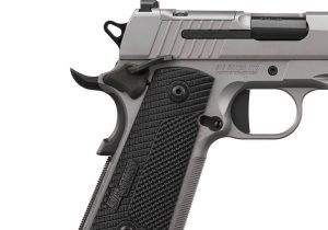 In Stock: 1911-XCARRY STAINLESS - Handguns | Kentucky Gun Shop