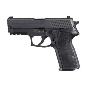 P229 NITRON CALIFORNIA  For Sale - Handguns - Kentucky Gun Shop