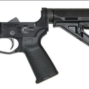 PSA – PALMETTO STATE ARMORY AR15 COMPLETE STEALTH LOWER MAGPUL MOE for sale