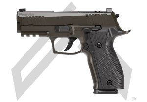 p226xca-legion-dasa-1-1 | Kentucky Gun Shop