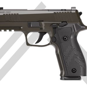 Authentic P226-XCARRY LEGION - Handguns - Kentucky Gun Shop