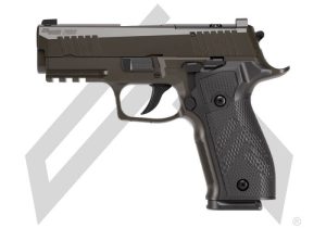 Authentic P226-XCARRY LEGION - Handguns | Kentucky Gun Shop