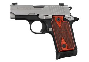 p238-two-tone-left-6 | Kentucky Gun Shop