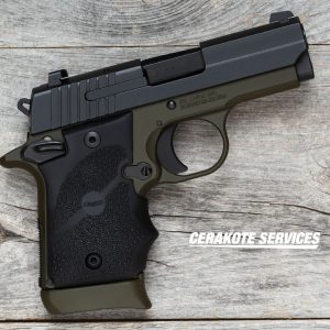 Authentic P938 BRG - Handguns - Kentucky Gun Shop